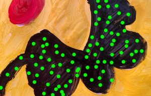 カラーズ8 - 笹谷正博