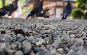 なんかエモい - あおい