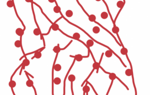 イメージ - 笹谷正博