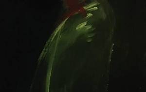 レッドヘアースタイル(デザイン)抽象的写実イラスト絵画作品 - 真鍋哲地