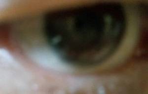 僕は若き日、に女装家でした - 真鍋哲地