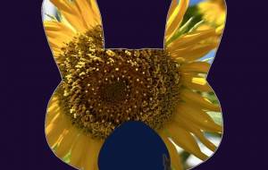 心に太陽をもう少しだけ待ってください。 - 宇佐山彩葉