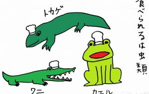 食材 - 工房はんど yu-ma