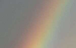 おはな。 - naomi