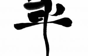 デザイン書道 華 HANA 筆文字 - タカツキミドリ