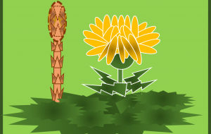 タンポポ - ゆりぽ