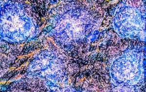 あさがお、デジタル加工 - 久保田 俊