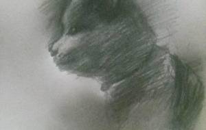 古里暖たか猫(窓辺物語) - 真鍋哲地