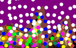 シーズン2 - 笹谷正博