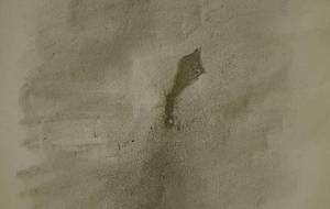 働いて地球生命パズル(命の汗、尊い者) - 真鍋哲地