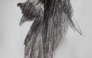 鴉天狗と天狗(障がい者アートと健常者アート) - 真鍋哲地