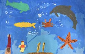 海の仲間 - Shota