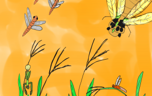 夕焼けと季節と命の移り変わり - アンドル