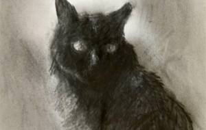 後光ある猫 - 真鍋哲地