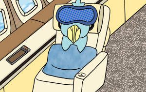 ファーストクラスで寛ぎ中 - あんじゅ