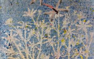 コスモス - 久保田 俊