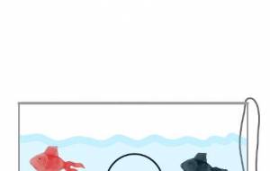 お暇なぷにちゃん - しずく