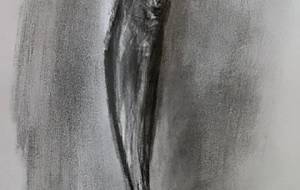 魚の干物、尊い姿(でも君は美しいよ) - 真鍋哲地