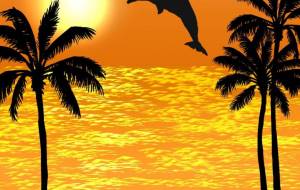 夕日とイルカ - くみぱんつ