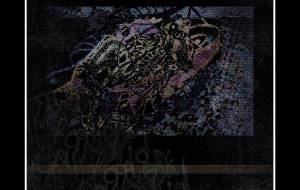 デジタル乃魚 - しょも