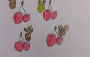 さくらんぼ美味しく見てる動物達! - 木下乃里子