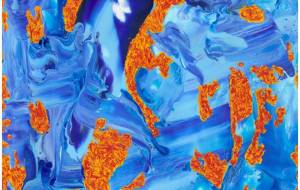 真夏の果実 - 阿部貴志