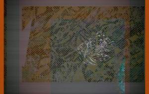 秋ヲ游ぐ - しょも