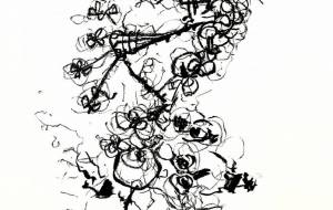 Doctor flower - 橋詰 聡