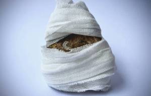 Wound care - 橋詰 聡