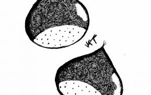 カケアミ栗 - 橘 木竜