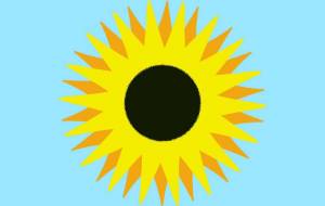 Sunflower – brightness and darkness - Bipolar Wany