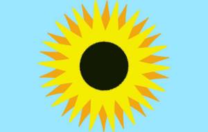 Sunflower – brightness and darkness - Bipolar Wany 