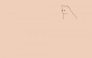 遠くを見る猫 - Bipolar Wany