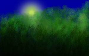 月光の森 - umico 