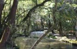 妖精の住処 - 小田飛鳥