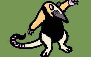 キタコアリクイ - シマハイエナ