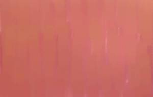 雨 - ふたばりく