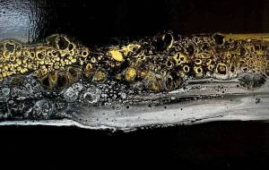 Lemurian Galaxy 52 - ☆ acco・Lemuria ☆