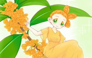 金木犀 - 甘蜜アヤカ