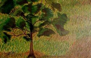 歩み - 萩原克典