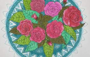 インパチェンス(八重) - Shino-B(シノビー)