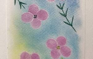 ピンク色の花 - みちる