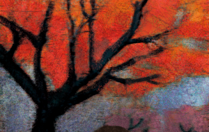 感情 - あいだ りょう