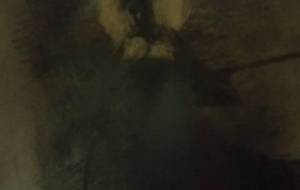 仏様、母と僕の骨壺、たとえ入滅でも、母さんを尊い光に - 真鍋哲地