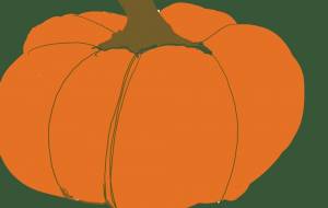 昨日みたかぼちゃ - 香織