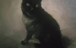 ミーちゃんを精一杯、描きました - 真鍋哲地