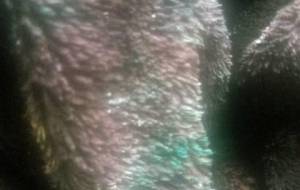 僕の毛布絵の具が、、写実画家の毛布???!! - 真鍋哲地