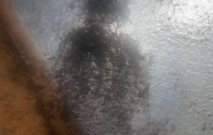 汚い家住んで、母さん泣いてた(貧乏のばかぁーーっ) - 真鍋哲地