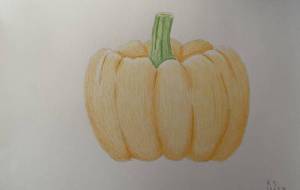 パンプキン - 恵麻