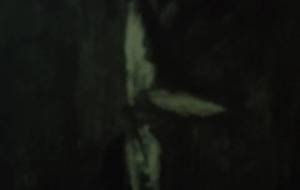 鳥の恋人(白は(白鳥)と天(鴉)が残した羽) - 真鍋哲地